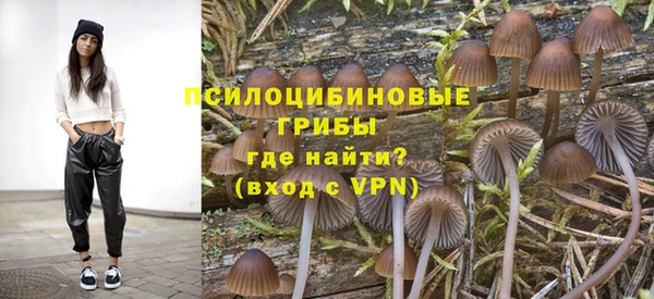 прущая мука Арсеньев