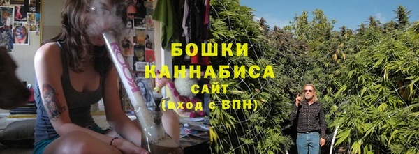 PSILOCYBIN Алзамай