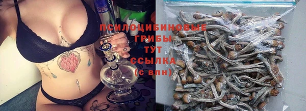 PSILOCYBIN Алзамай