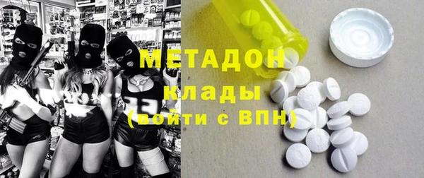 прущие грибы Михайловск