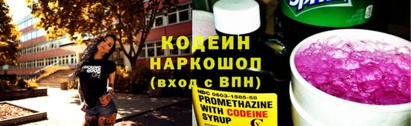 PSILOCYBIN Алзамай