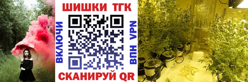blacksprut tor  Черкесск  Канабис Amnesia 